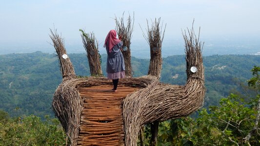 Nature pines imogiri