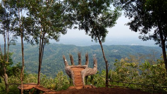 Nature tree outdoor