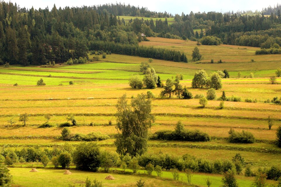 Mountains nature the prospect of