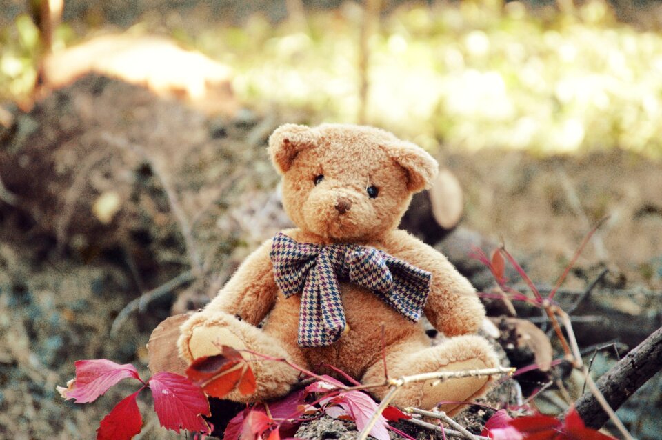Toy childhood sweet
