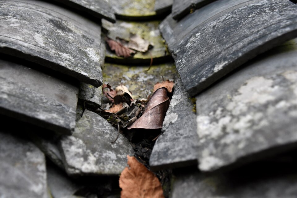 Brick sheet tiles defoliation