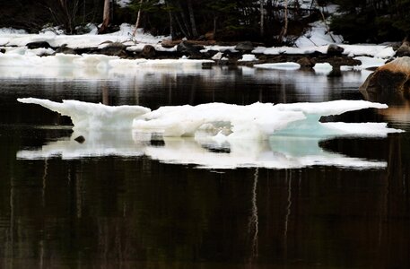 White spring waldsee photo