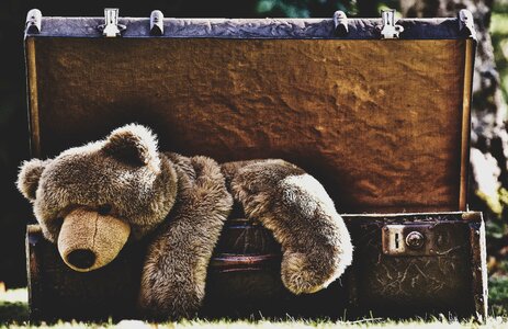 Sepia soft toy stuffed animal