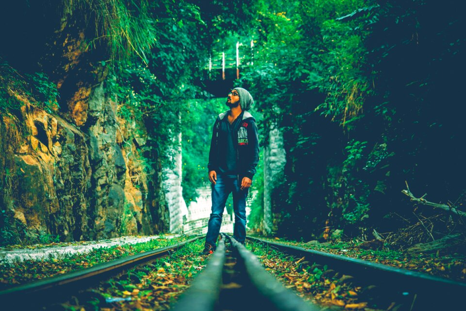 Forest railway track man