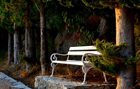 Seat sidewalk tranquil photo