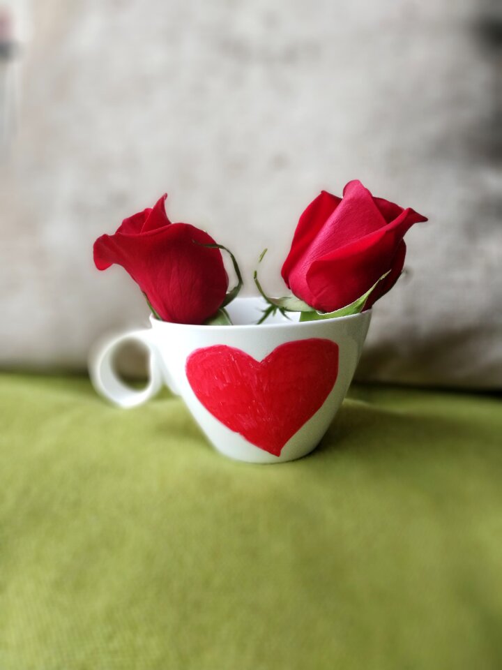 Hart cup roses