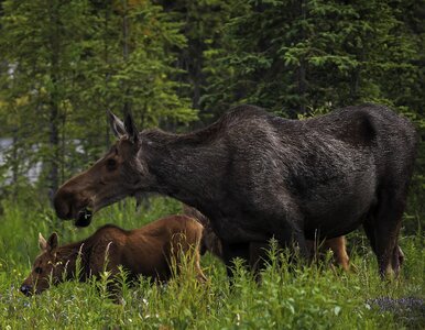 Mother baby portrait