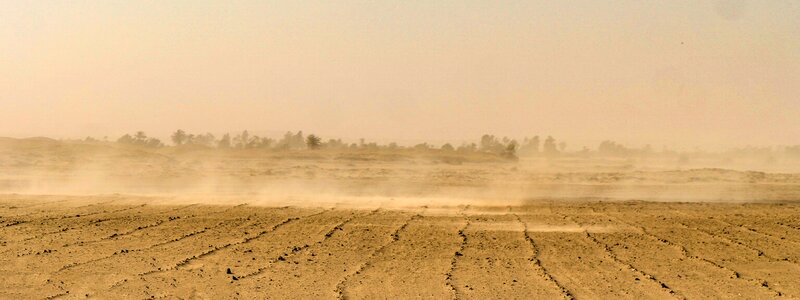 Wind dry oed photo