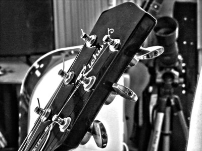 Instrument musician musical instrument photo