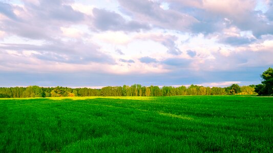 Nature rural area sky