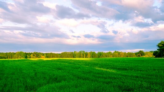 Nature rural area sky photo