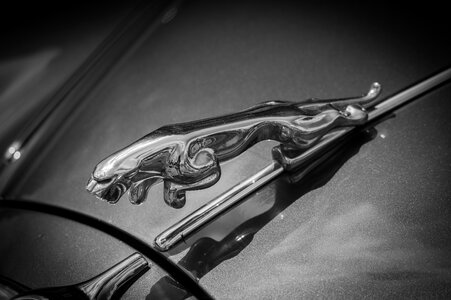 Auto cool figure luxury