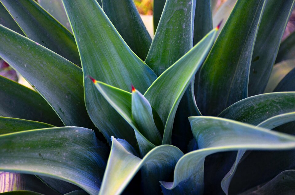 Green texture pattern