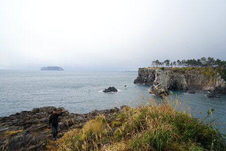 Island sea wood