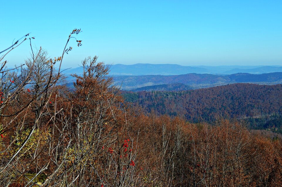 Hill panorama meadows