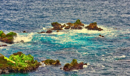 Nature marina costa