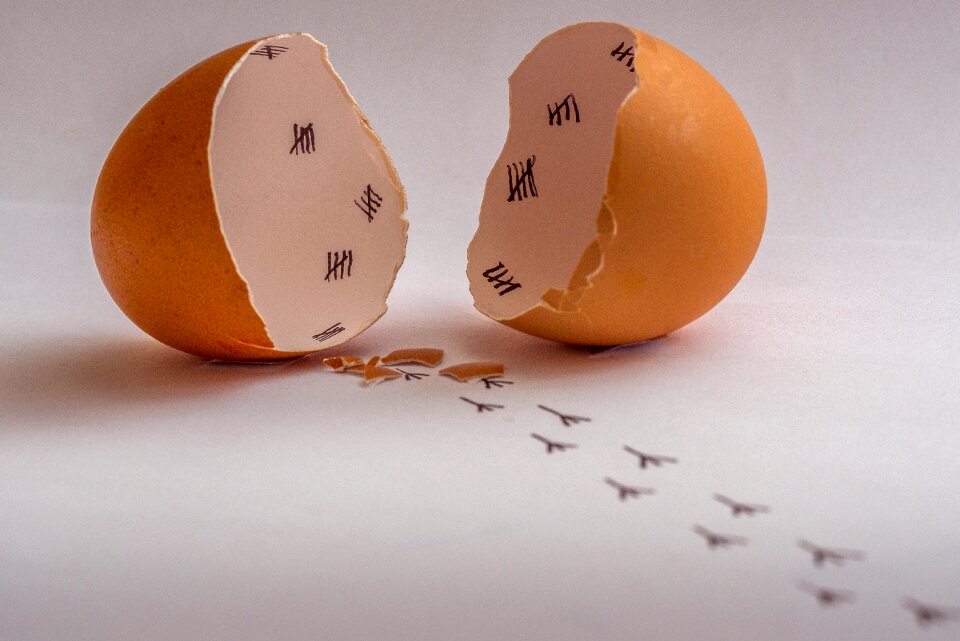 Eggshell hen's egg brown egg