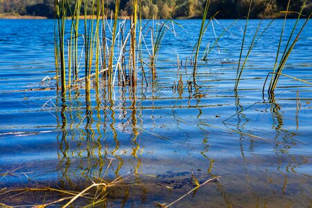 Sun lake river photo