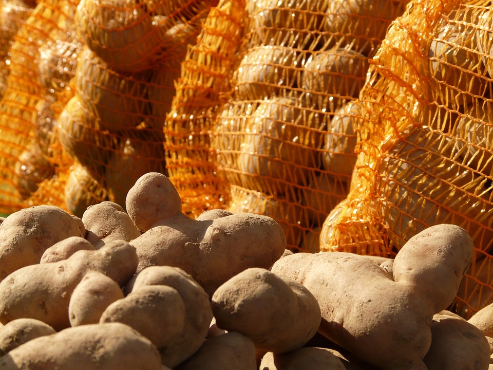 Potatoes potato sack vegetables