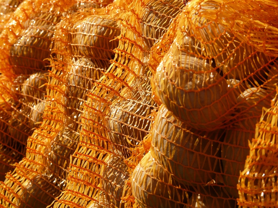 Potatoes potato sack vegetables