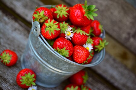 Food eat berries