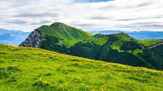 Grass view italy