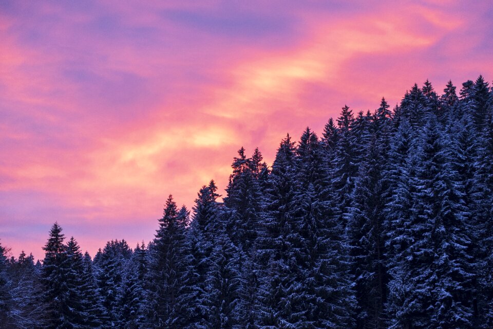 Snow landscape wintry