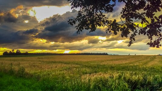 Beautiful summer spring