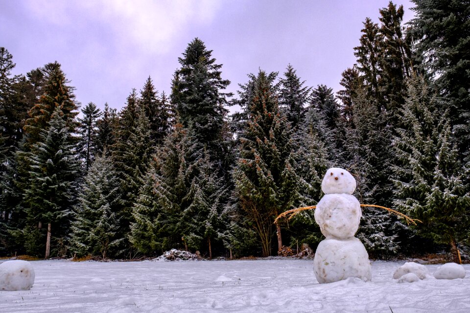 Snowman landscape cold
