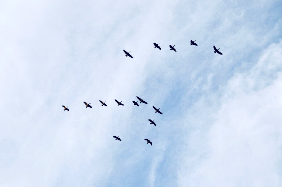 Wing flying clouds