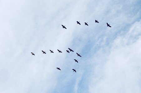 Wing flying clouds photo