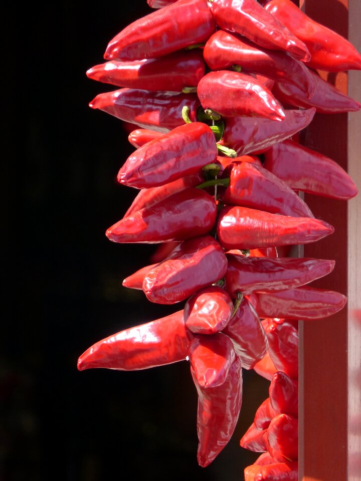 Gastronomy typical red