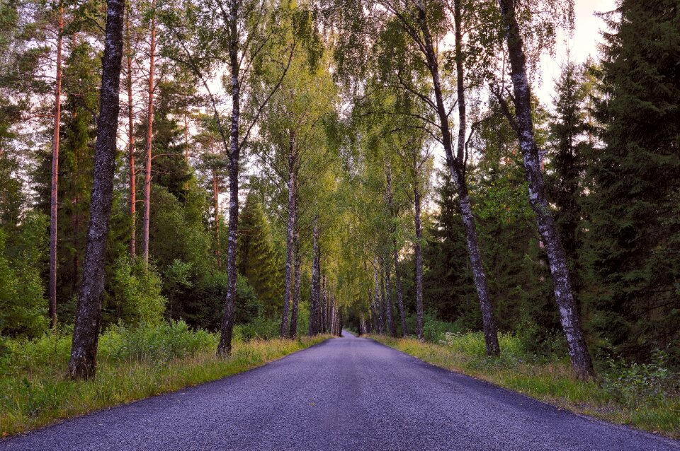 Nature sweden scenic