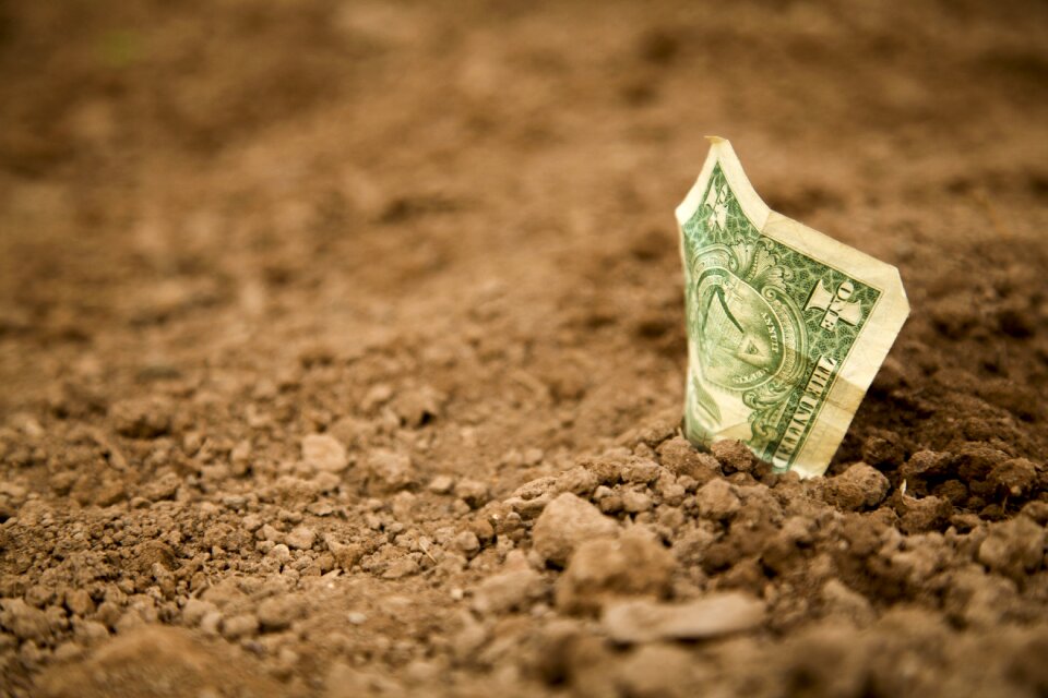 Banknote earth basic