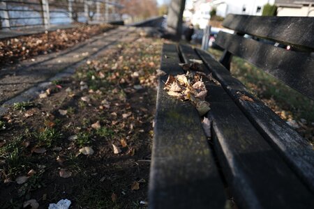 Fall foliage away wooden bench