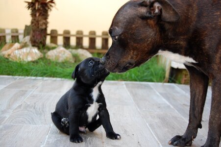 Mom love adorable
