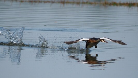 River water flight photo