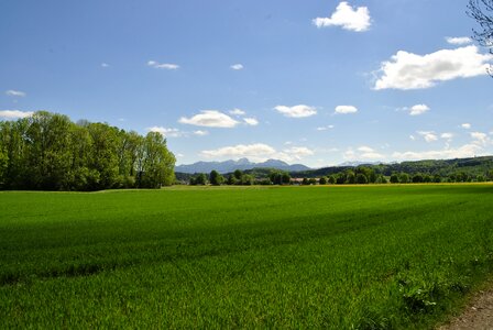 Nature agriculture panorama photo