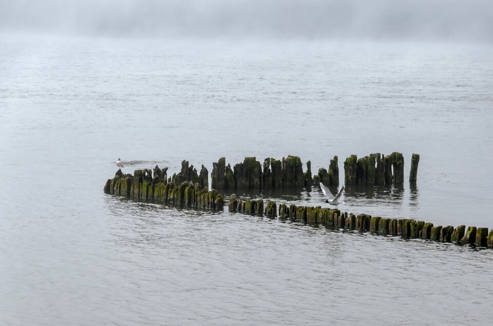 Minimalism mood the fog
