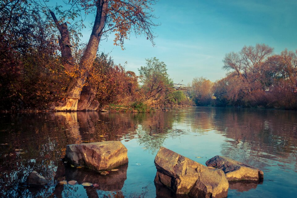 Water trees country