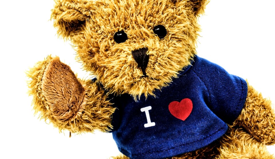 Animal teddy bear plush photo