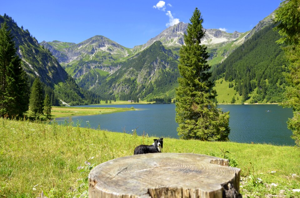 Alpine austria mountains