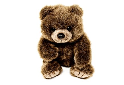 Animal teddy bear plush