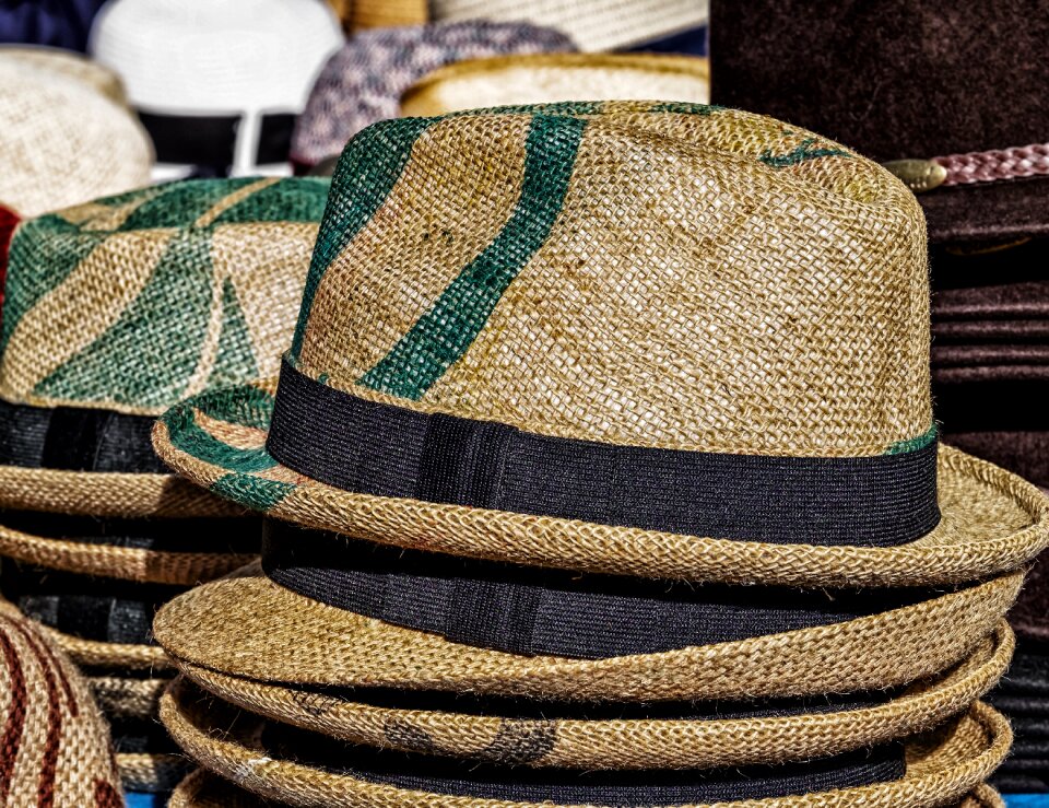 Headwear clothing coneflower