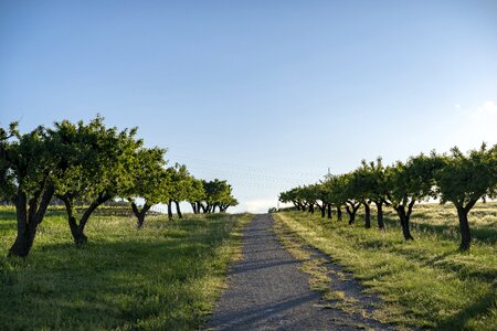 Nature landscape hiking