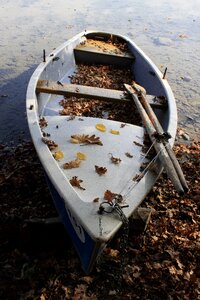 Leaves fall foliage water