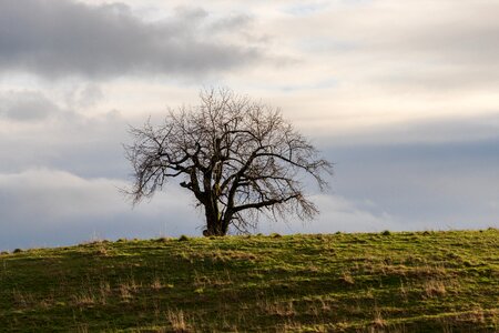 Hill clouds mood photo