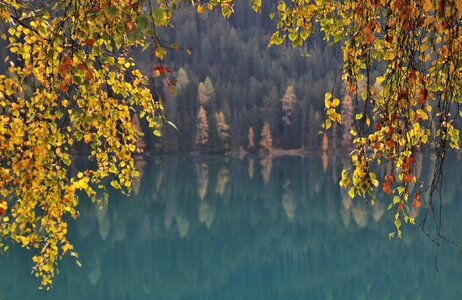 Lake alpine davos