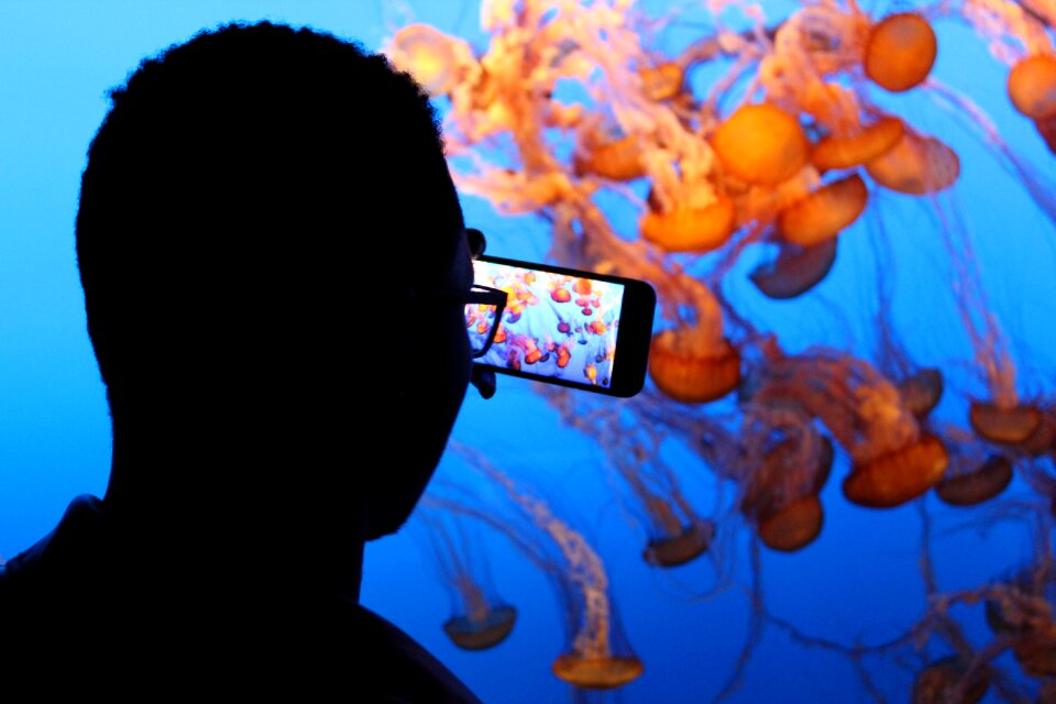 Silhouette man smartphone