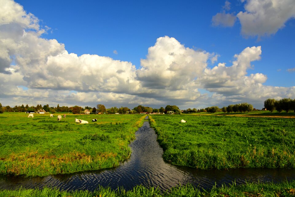 Polder dutch landscape skies photo